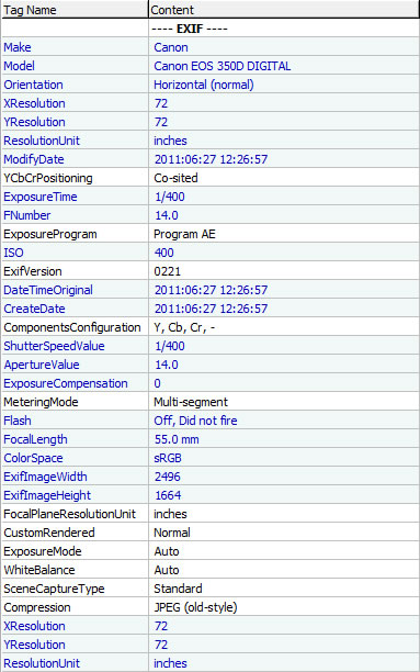 how to grep exif data from imagemagic display