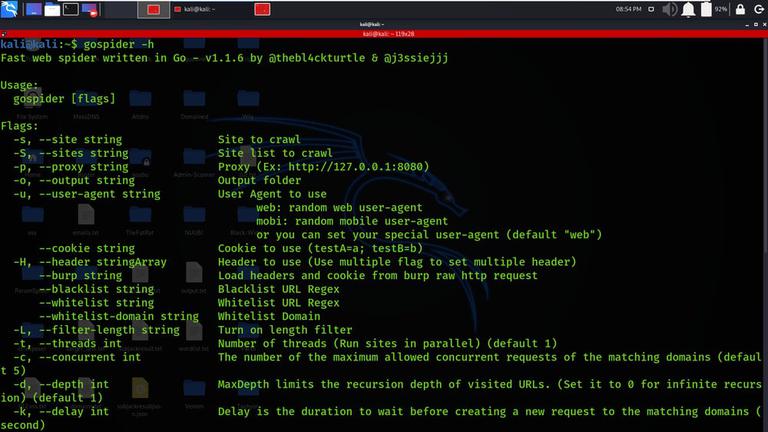 GoSpider - Fast web spider written in Go - GeeksforGeeks