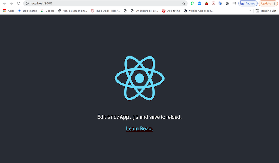 local react development server