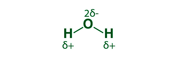 Structure of H2O