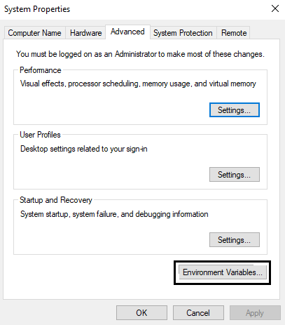 environment variable