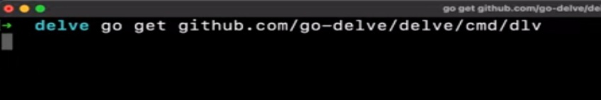 Installing Go delve