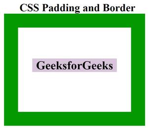 CSS - Paddings