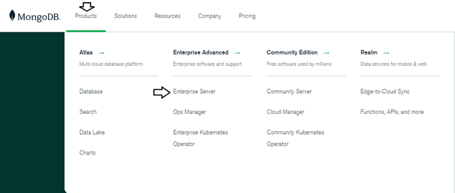 enterprise server option