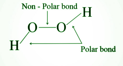 Hydrogen Peroxide - Uses, Properties, Preparation, Examples - GeeksforGeeks