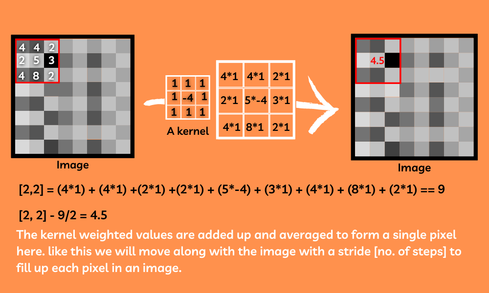 Convolutional best sale network tensorflow