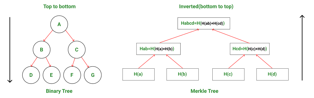 Binary tree direction vs Merkle tree direction