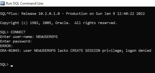 How To Provide Grant Access To User In Oracle