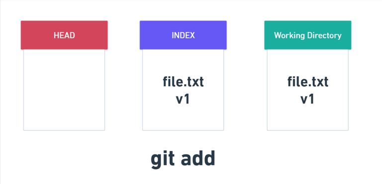 Git - Difference Between HEAD, Working Tree and Index - GeeksforGeeks