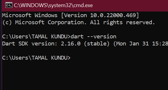 Verifying-Dart-sdk-version