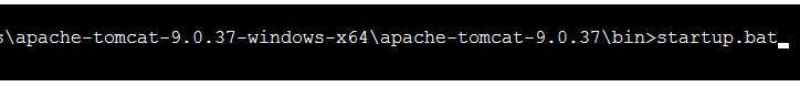 From bin folder "startup.bat" needs to be given