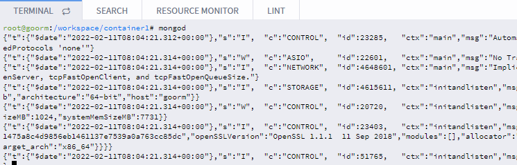 terminal-run-mongod