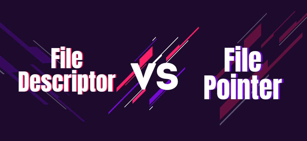 File-Descriptor-vs-File-Pointer