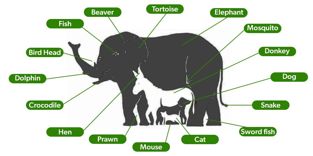 What is Convolution in Computer Vision - GeeksforGeeks