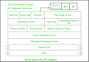 ECN bits in the IP header