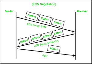 ECN Negotiation