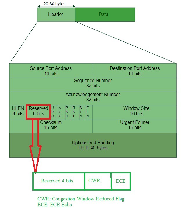 ECN bits in the TCP header