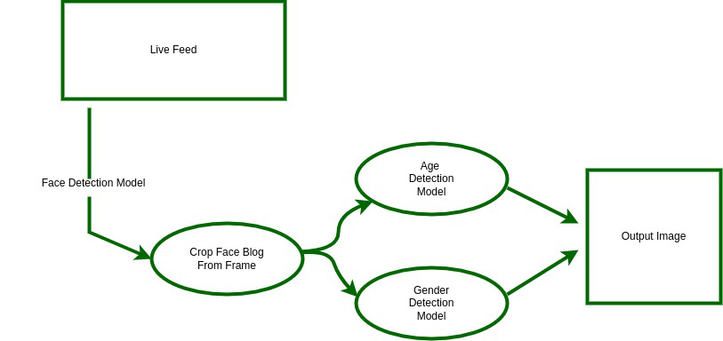 Opencv caffe hot sale model