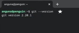 Checking-the-version-of-git