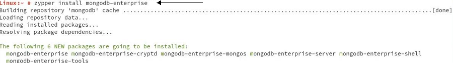 Install-the-MongoDB 