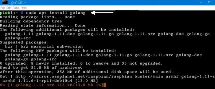 Installing-golang