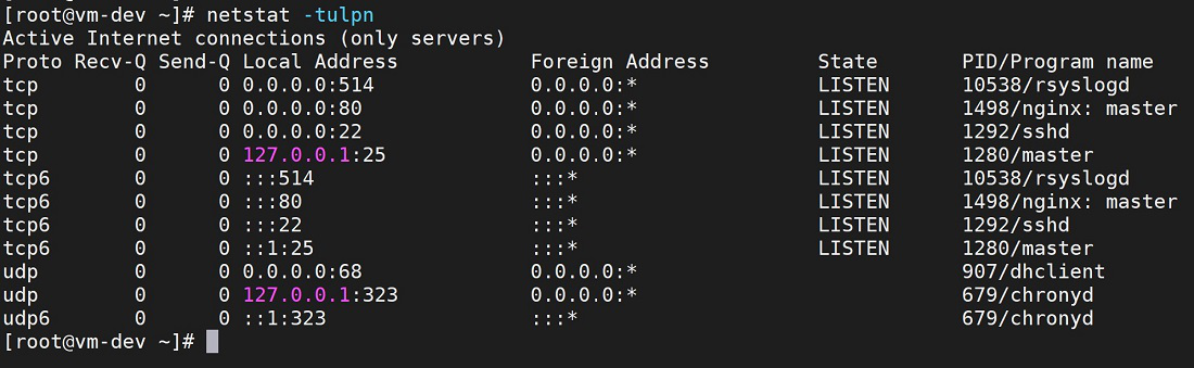 netstat output