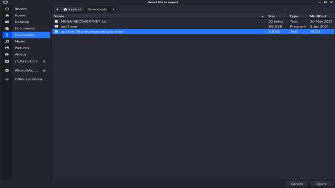 Opening VPN configuration file