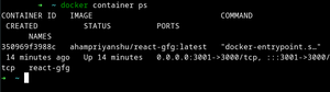 docker container ps 