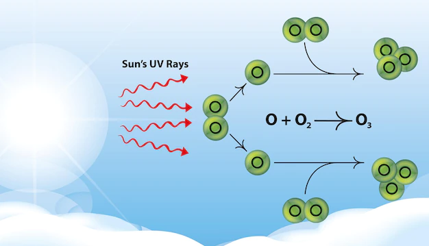 ozone depletion introduction for essay