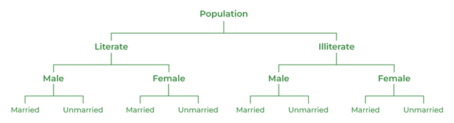 explain presentation of statistical data classification