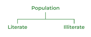 explain presentation of statistical data classification