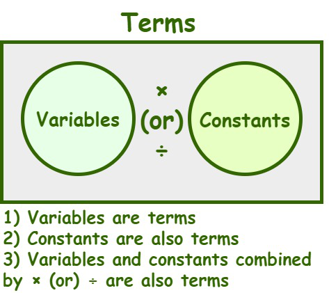 Terms in Algebraic Expressions