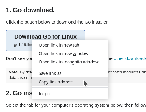 Copying-the-Go-download-link