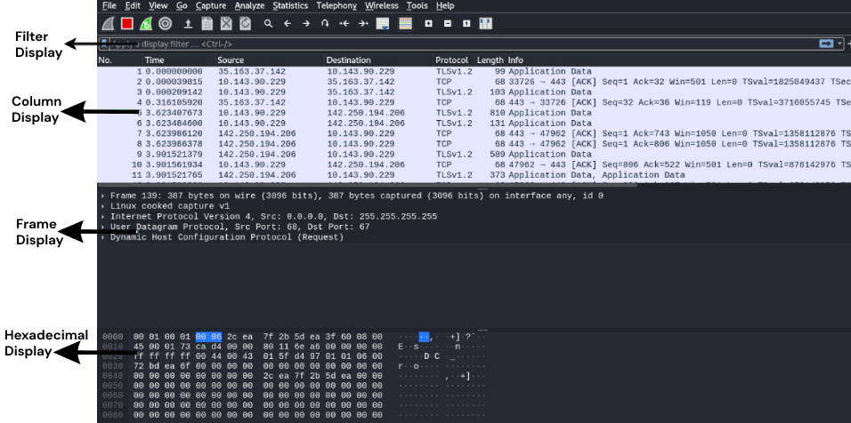 wireshark filter dns domain name