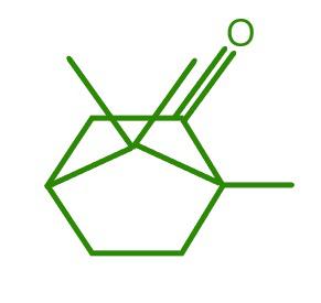 Structure of Camphor