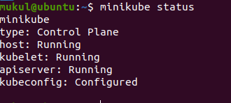 Checking the minikube status