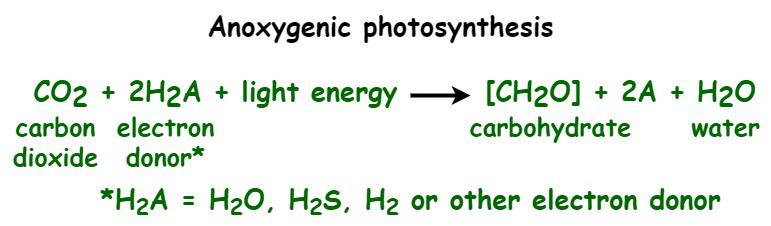 Photosynthesis Formula GeeksforGeeks Photosynthesis Formula GeeksforGeeks