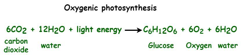 Photosynthesis Formula GeeksforGeeks Photosynthesis Formula GeeksforGeeks