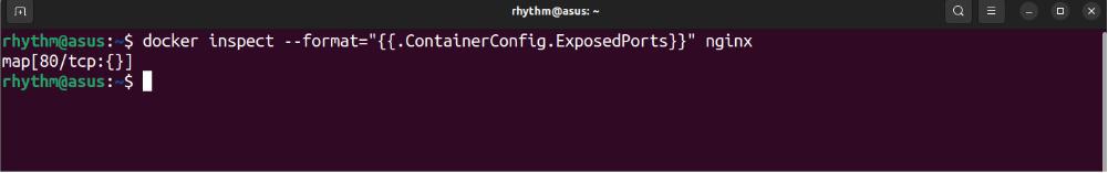 Docker Inspect format Nginx