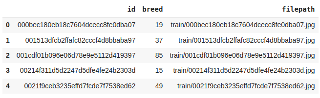 First Five rows of the dataset