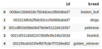 First Five rows of the dataset