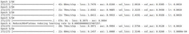 Training and validation loss and AUC score