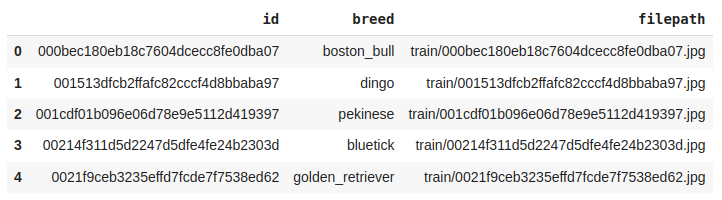 First Five rows of the dataset