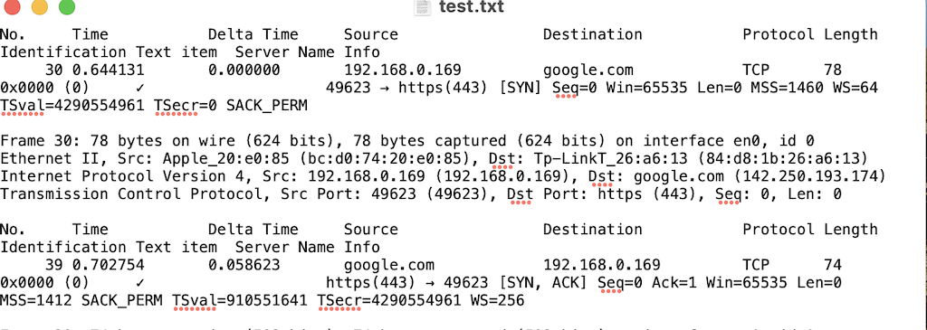 Wireshark Text Report