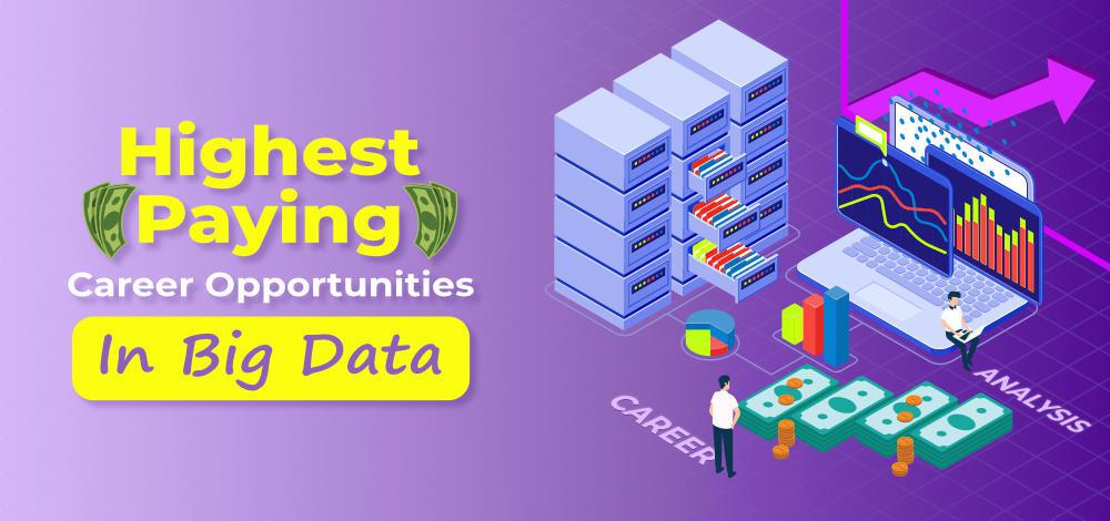 Highest Paying Career Opportunities in Big Data