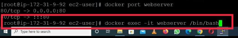 docker exec