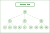 Types of Trees in Data Structures - GeeksforGeeks