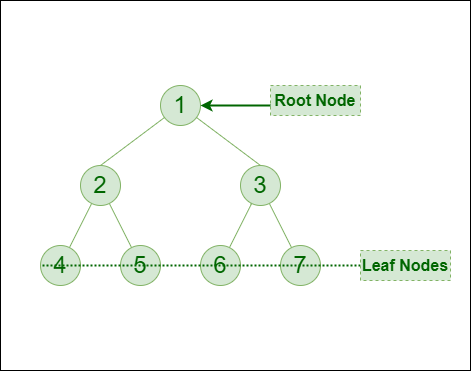 Introduction to Binary Tree - Data Structure and Algorithm Tutorials -  GeeksforGeeks