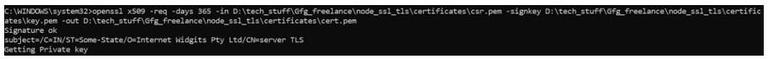 How to use SSL/TLS with Node.js ? - GeeksforGeeks